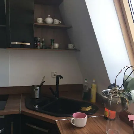 Lejlighed Klimatyzowany Apartament Z Balkonem W Centrum Wroclawia *